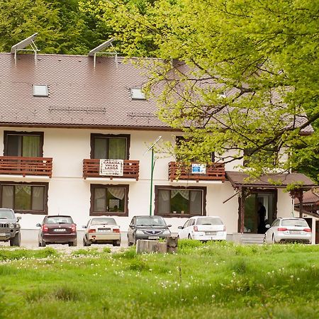 Cabana Barlogul Lupilor Villa Berevoesti Exterior foto