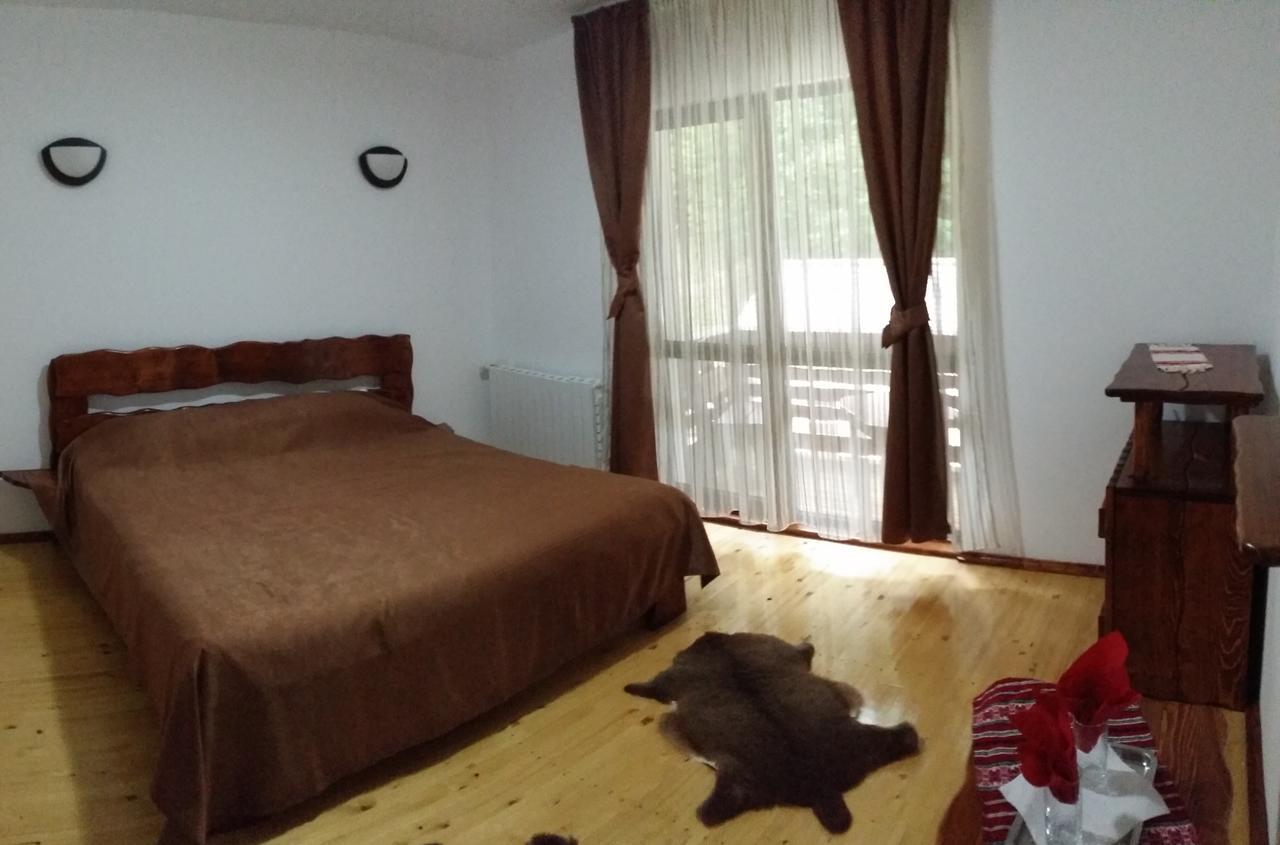 Cabana Barlogul Lupilor Villa Berevoesti Habitación foto